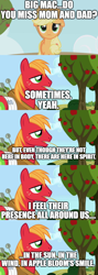 Size: 500x1406 | Tagged: safe, derpibooru import, edit, edited screencap, screencap, applejack, big macintosh, comic, implied apple bloom, implied bright mac, implied pear butter, screencap comic