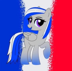 Size: 720x712 | Tagged: safe, derpibooru import, oc, oc only, earth pony, flag, france, solo