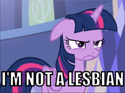 Size: 1000x741 | Tagged: safe, derpibooru import, edit, edited screencap, screencap, twilight sparkle, twilight sparkle (alicorn), alicorn, pony, what about discord?, annoyed, caption, deleted from derpibooru, ears, floppy ears, image macro, not gay, not lesbian, solo, text, twilight's castle