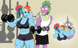 Size: 2048x1266 | Tagged: safe, artist:matchstickman, derpibooru import, rainbow dash, spike, anthro, dragon, pegasus, abs, armpits, art trade, biceps, breasts, clothes, deltoids, dumbbell (object), duo, female, flexing, flexing muscles, gradient background, gym, mare, muscles, muscular female, pecs, rainboob dash, rainbuff dash, sweat, thighs, thunder thighs