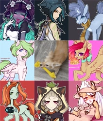 Size: 1500x1767 | Tagged: safe, artist:hennessi83, derpibooru import, crackle cosette, queen chrysalis, oc, human, pegasus, pony, unicorn, art vs artist, camera, clothes, coat markings, collage, disguised changeling, genshin impact, horn, irl, irl dog, jumper, neck bow, pegasus oc, photo, sayu, scarf, socks, spread wings, unicorn oc, wings, xiao