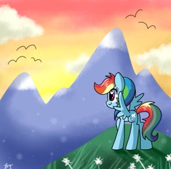 Size: 847x841 | Tagged: source needed, safe, artist:silver meadow, derpibooru import, rainbow dash, pegasus, pony, butt, female, plot, sunset