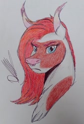 Size: 691x1024 | Tagged: safe, artist:discbreaker100, derpibooru import, oc, oc only, oc:gisarme peculiar, bat pony, bust, commission, female, mare, portrait, skewbald, solo, traditional art