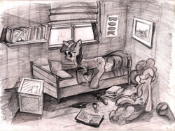 Size: 2208x1664 | Tagged: safe, artist:alexandrvirus, derpibooru import, pinkie pie, twilight sparkle, unicorn twilight, earth pony, pony, unicorn, bed, book, duo, monochrome, shelf, traditional art, window