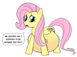 Size: 2466x1836 | Tagged: safe, artist:thenypod4, derpibooru import, fluttershy, pony, preggoshy, pregnant, rapid pregnancy, simple background, white background