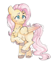 Size: 3460x3954 | Tagged: safe, artist:lightisanasshole, derpibooru import, fluttershy, pegasus, pony, blushing, cheek fluff, chest fluff, colored hooves, cute, female, fetlock tuft, folded wings, head turned, high res, hoof fluff, mare, raised hoof, raised leg, shyabetes, simple background, smiling, solo, standing, traditional art, unshorn fetlocks, watercolor painting, white background, wings