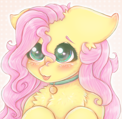 Size: 2040x2000 | Tagged: safe, artist:saltyvity, derpibooru import, fluttershy, pegasus, pony, abstract background, big ears, big eyes, blushing, bust, chest fluff, collar, cute, ears, female, floppy ears, fluffy, green eyes, heart eyes, high res, hooves to the chest, nya, pink hair, solo, sparkles, stray strand, three quarter view, tongue, tongue out, wingding eyes