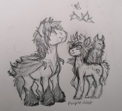 Size: 640x584 | Tagged: safe, artist:purple-blep, derpibooru import, oc, oc only, oc:keylime, oc:neem, bat pony, butterfly, cat, pegasus, unicorn, bat pony oc, sketch, traditional art