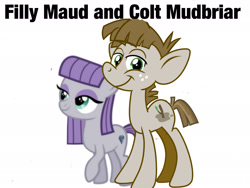 Size: 2048x1536 | Tagged: artist needed, safe, derpibooru import, edit, maud pie, mudbriar, earth pony, pony, the maud couple, age regression, boyfriend and girlfriend, colt, cute, female, filly, foal, looking at you, male, simple background, white background, younger