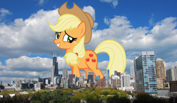 Size: 1920x1121 | Tagged: safe, artist:estories, artist:thegiantponyfan, derpibooru import, applejack, earth pony, pony, applejack's hat, chicago, clothes, cowboy hat, female, freckles, giant pony, giant/macro earth pony, giantess, grin, hat, highrise ponies, illinois, irl, looking at you, macro, mare, mega applejack, mega giant, photo, ponies in real life, smiling, smiling at you, solo, stetson
