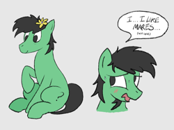 Size: 2732x2048 | Tagged: safe, artist:rawtszy, derpibooru import, oc, oc:anon, oc:anon stallion, earth pony, 4chan, anonymous, blatant lies, female, flower, male, mare, stallion