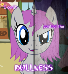 Size: 1100x1200 | Tagged: safe, artist:4narchybrony, derpibooru import, oc, oc only, oc:violet rose, alicorn, pony, angry, female, frown, horn, mare, smiling, text, two sided posters, two sides, wings