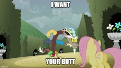 Size: 888x499 | Tagged: safe, derpibooru import, edit, edited screencap, screencap, discord, fluttershy, pony, the return of harmony, angry, butt, caption, duo, female, flutterbutt, hedge maze, image macro, mare, text, wingless
