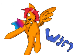 Size: 800x600 | Tagged: safe, derpibooru import, oc, oc only, oc:rainbow neko, pegasus, pony, colt, foal, looking down, male, raised hoof, raised leg, rule 63, shocked, simple background, stallion, vulgar, white background, wings, wtf