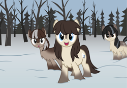 Size: 4368x3000 | Tagged: source needed, safe, artist:tolerance, oc, oc only, oc:cold shoulder, oc:frosty flakes, oc:winter wonder, pony, female, forest, looking at you, mare, onomatopoeia, ooo, open mouth, show accurate, snow, snowpony (species), sound effects, taiga pony, trio