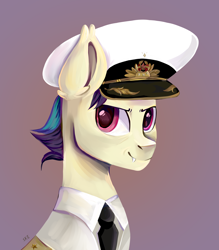 Size: 2000x2280 | Tagged: safe, artist:ske, derpibooru import, oc, bat pony, pony, equestria at war mod, bust, necktie, portrait, solo