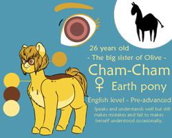 Size: 1000x800 | Tagged: safe, artist:saasart, derpibooru import, oc, oc only, oc:cham-cham, earth pony, pony, blue background, brown eyes, brown mane, chubby, coat markings, cutie mark, earth pony oc, female, mare, multicolored coat, reference sheet, simple background, text, yellow coat