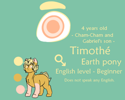 Size: 1000x800 | Tagged: safe, artist:saasart, derpibooru import, oc, oc only, oc:timothe, earth pony, pony, blonde, blonde mane, coat markings, colt, earth pony oc, foal, male, orange coat, orange eyes, pink coat, reference sheet, simple background, socks (coat marking), son, teal background, text, two toned coat