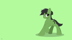 Size: 1920x1080 | Tagged: safe, artist:ricy, derpibooru import, oc, oc only, oc:anon stallion, earth pony, pony, cutie mark, earth pony oc, green background, green eyes, lineless, looking at you, male, raised eyebrow, raised hoof, raised leg, simple background, solo, stallion, wallpaper