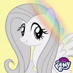 Size: 720x720 | Tagged: safe, derpibooru import, fluttershy, pegasus, pony, rainbow roadtrip, monochrome, official, profile picture