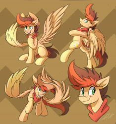 Size: 5103x5460 | Tagged: safe, artist:kaylerustone, derpibooru import, oc, oc only, oc:kayle rustone, pony, bust, cowboy hat, falling, hat, looking back, looking up, male, simple background, spread wings, stallion, walking, wings