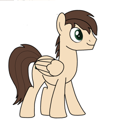 Size: 1430x1530 | Tagged: safe, derpibooru import, oc, oc only, oc:vinyl rewind, pegasus, pony, simple background, solo, white background, wings