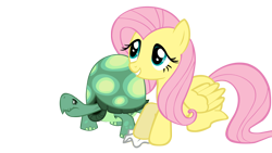 Size: 3000x1688 | Tagged: safe, artist:totalcrazyness101, derpibooru import, fluttershy, tank, pegasus, pony, tortoise, female, mare, simple background, transparent background, vector