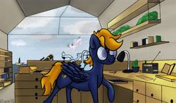 Size: 6144x3584 | Tagged: safe, artist:ceugenese, derpibooru import, oc, oc:afterglow sky, oc:morning star, pegasus, pony, blue coat, book, bookshelf, cactus, cloud, desk, duo, female, flying, glasses, male, orange eyes, orange hair, pink coat, purple eyes, radio, siblings, sky