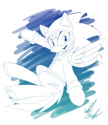 Size: 1215x1400 | Tagged: safe, artist:fuzon-s, derpibooru import, rainbow dash, pegasus, pony, clothes, hoodie, monochrome, solo, sonic the hedgehog, sonic the hedgehog (series)