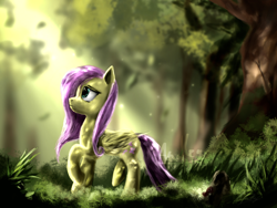 Size: 4000x3000 | Tagged: safe, artist:andley, derpibooru import, fluttershy, pegasus, female, forest, grass, leaves, lost, solo, sun ray, tree