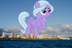 Size: 2048x1365 | Tagged: safe, artist:chrzanek97, artist:thegiantponyfan, derpibooru import, fond feather, pegasus, pony, bow, female, giant pegasus, giant pony, giantess, hair bow, hawaii, highrise ponies, honolulu, irl, macro, mare, mega giant, photo, ponies in real life, tail, tail bow