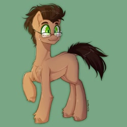 Size: 2048x2048 | Tagged: safe, artist:yumkandie, derpibooru import, oc, oc only, earth pony, pony, chest fluff, earth pony oc, glasses, male, simple background, solo, unshorn fetlocks