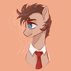 Size: 2048x2048 | Tagged: safe, artist:yumkandie, derpibooru import, doctor whooves, earth pony, pony, bust, male, necktie, solo