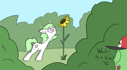 Size: 1940x1080 | Tagged: safe, artist:happy harvey, derpibooru import, oc, oc only, oc:anon, oc:anon filly, earth pony, human, pony, adult, alternate design, bush, dialogue, drawn on phone, ears back, female, filly, flower, foal, hat, male, pokémon, shiny, sniffing, sparkles, sunflower