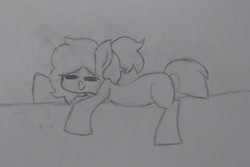 Size: 1280x856 | Tagged: safe, artist:applejacko1112, derpibooru import, oc, oc only, oc:auxie, earth pony, pony, sleeping, solo, traditional art