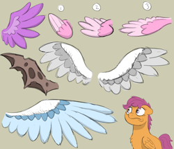 Size: 3786x3252 | Tagged: safe, artist:doodledonutart, derpibooru import, scootaloo, sketch, wings