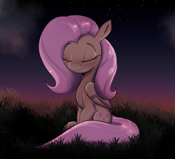 Size: 1989x1804 | Tagged: safe, artist:arume_lux, derpibooru import, fluttershy, pegasus, pony, eyes closed, female, grass, mare, night, outdoors, sitting, smiling, solo, starry sky, stars