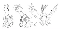 Size: 1200x582 | Tagged: safe, artist:alumx, derpibooru import, rainbow dash, pegasus, pony, female, grayscale, mare, monochrome, simple background, sitting, sketch, solo, spread wings, white background, wing arms, wings