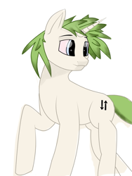 Size: 1585x2105 | Tagged: safe, artist:m37, derpibooru import, oc, oc only, oc:ein, pony, unicorn, blue eyes, colored sclera, eyebrows, green hair, horn, male, raised hoof, raised leg, red sclera, simple background, smiling, solo, stallion, white background