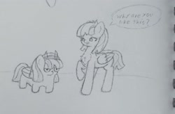 Size: 2961x1948 | Tagged: safe, artist:sodapop sprays, derpibooru import, oc, oc:cannoli, oc:éclair, pegasus, pony, concerned, female, folded wings, mane, mare, missing cutie mark, sextuplet, siblings, sisters, tail, traditional art, wings