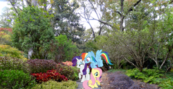 Size: 2097x1080 | Tagged: safe, artist:dashiesparkle, artist:mlplover94, derpibooru import, fluttershy, rainbow dash, rarity, pegasus, pony, unicorn, alabama, birmingham, female, garden, irl, looking down, mare, photo, ponies in real life, smiling, spread wings, wings