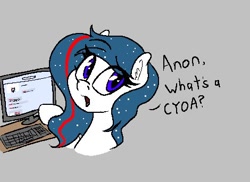 Size: 470x342 | Tagged: safe, artist:seafooddinner, derpibooru import, oc, oc only, oc:nasapone, earth pony, pony, /mlp/, 4chan, aggie.io, computer, cyoa, dialogue, ear fluff, ears, earth pony oc, eye clipping through hair, eyebrows, eyebrows visible through hair, female, gray background, implied anon, keyboard, mare, monitor, open mouth, simple background, solo, talking