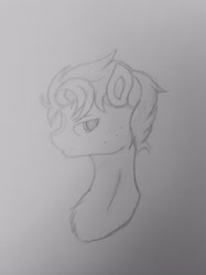 Size: 2731x3642 | Tagged: safe, artist:sodapop sprays, derpibooru import, oc, earth pony, pony, bust, eye, eyes, male, mane, solo, stallion, traditional art, unnamed character, unnamed oc, unnamed pony