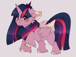 Size: 2525x1897 | Tagged: safe, artist:highrolleryt, derpibooru import, twilight sparkle, twilight sparkle (alicorn), alicorn, pony, cloven hooves, ear fluff, ears, female, floppy ears, gray background, mare, simple background, solo, unshorn fetlocks