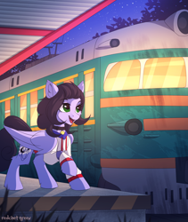 Size: 2000x2365 | Tagged: safe, artist:redchetgreen, derpibooru import, oc, oc only, oc:skiu, pegasus, pony, bell, bell collar, clothes, collar, commission, night, smiley face, solo, train, train station