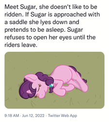 Size: 1170x1298 | Tagged: safe, artist:xppp1n, sugar belle, unicorn, belly button, female, mare, meta, ponified animal photo, pretending, sleeping, solo, text, twitter