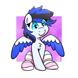 Size: 1222x1223 | Tagged: safe, artist:single purpose, derpibooru import, oc, oc only, oc:black ice, pegasus, pony, chest fluff, clothes, female, mare, simple background, socks, solo, striped socks