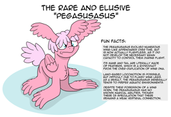 Size: 3052x2100 | Tagged: safe, artist:doodledonutart, derpibooru import, original species, pony, fun fact, pegasusasus, puns in the comments, solo, text, this will end in puns, wat, what has magic done