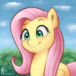 Size: 1620x1620 | Tagged: safe, artist:rcooper, derpibooru import, fluttershy, pegasus, pony, cute, female, mare, pink hair, shyabetes, solo