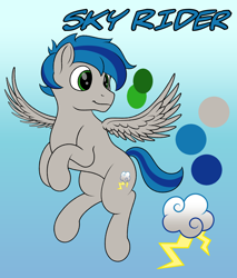 Size: 2554x3000 | Tagged: safe, artist:registereduser, derpibooru import, oc, oc only, oc:sky rider, pegasus, commission, cutie mark, flying, male, pegasus oc, reference sheet, solo